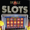 Hoyle Slots (2010)